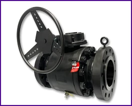Trunnion ball valve Balon — gland và stem packing area